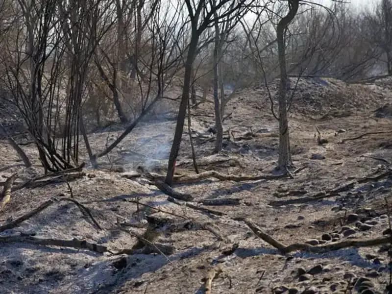 Osmaniye Kuş Cenneti’nde Yangın: Doğal Hayat Tehlikede!