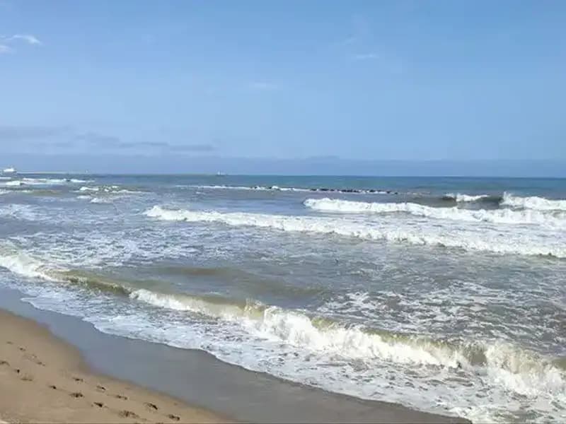 Türkiye'de Vize Döneminde Denizde Yasağın Arkasındaki Nedenler Neler?