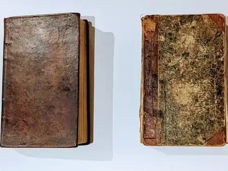 200 Yıllık Sır: Katilin Derisiyle Yapılmış Kitap Müze Rafında