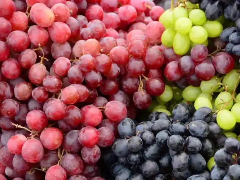 Yeşil Üzüm Mü, Siyah Üzüm Mü? Hangi Üzüm Daha Sağlıklı?