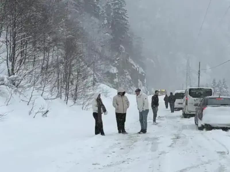 Trabzon'da Çığ Felaketi: Karayolu Ulaşıma Kapandı, Çalışmalar Başladı