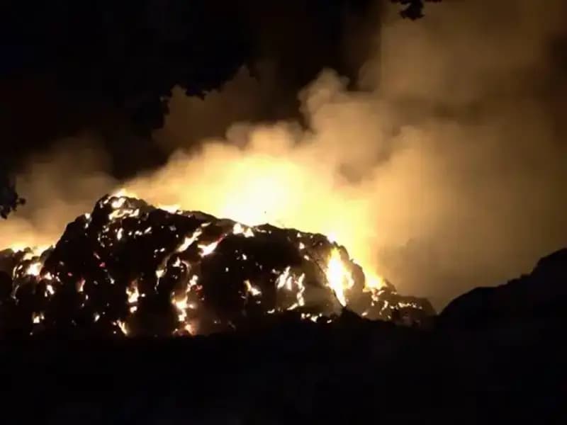 İspanya'da Orman Yangınları: Nedenleri ve Son Gelişmeler Neler?
