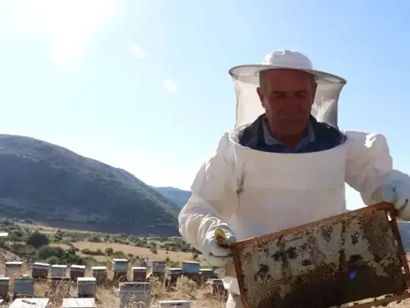 Mobilya İşini 25 Yıl Önce Bıraktı, 2 Ton Üretim Hedefine Ulaşmayı Başardı!