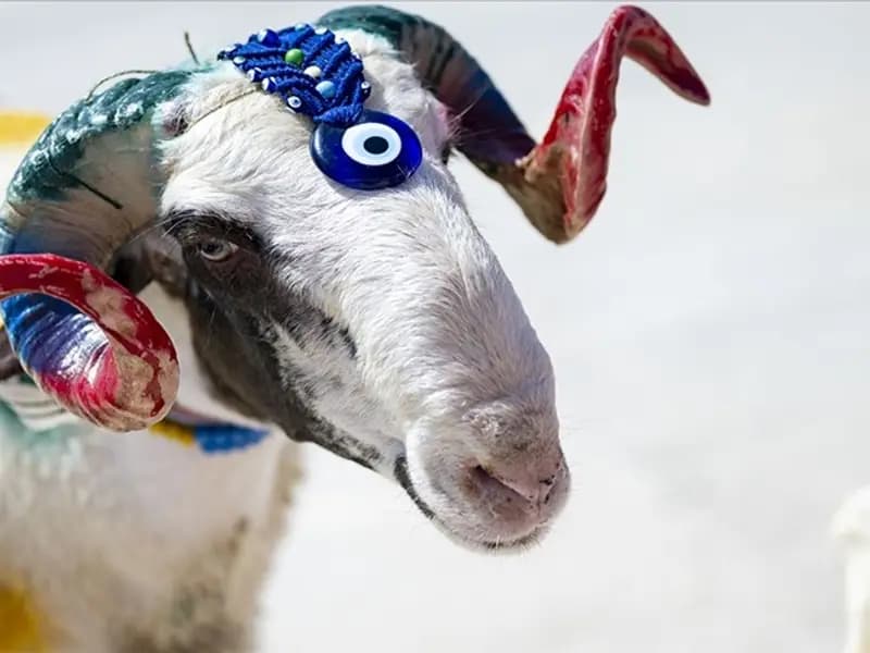 2026 Kurban Bayramı ne zaman? Bayram tatili süresi hakkında bilgiler