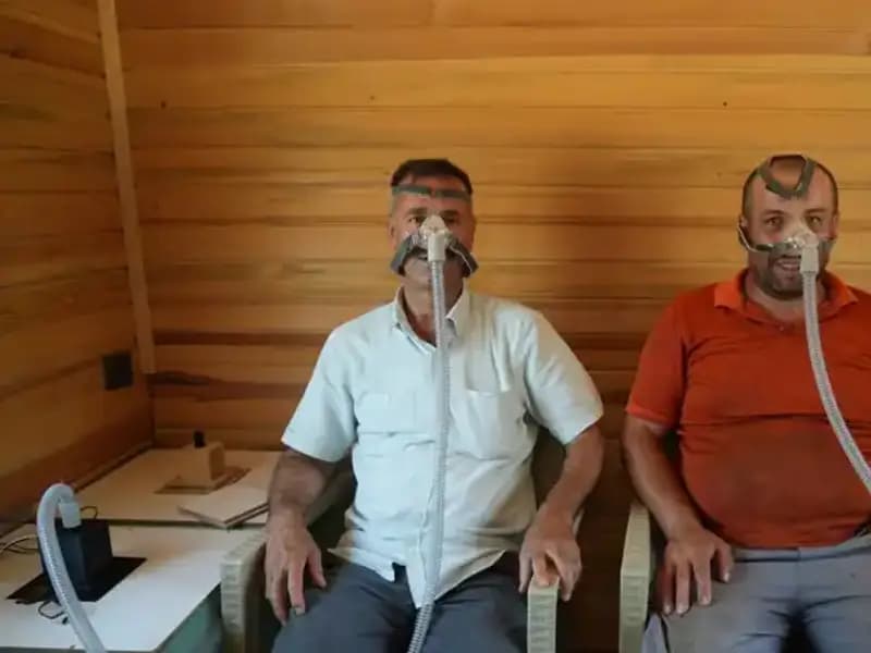 Alerji ve Astıma Doğal Çözüm: Şifayı Doğanın Kollarında Bulun