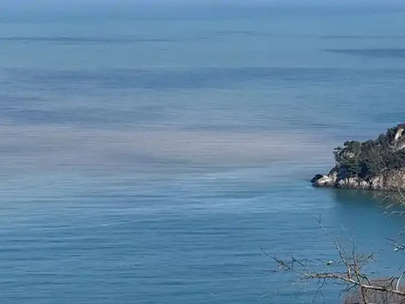 Bartın Irmağı'nın Çamurlu Su Akıntısı Denizi Nasıl Etkiledi?