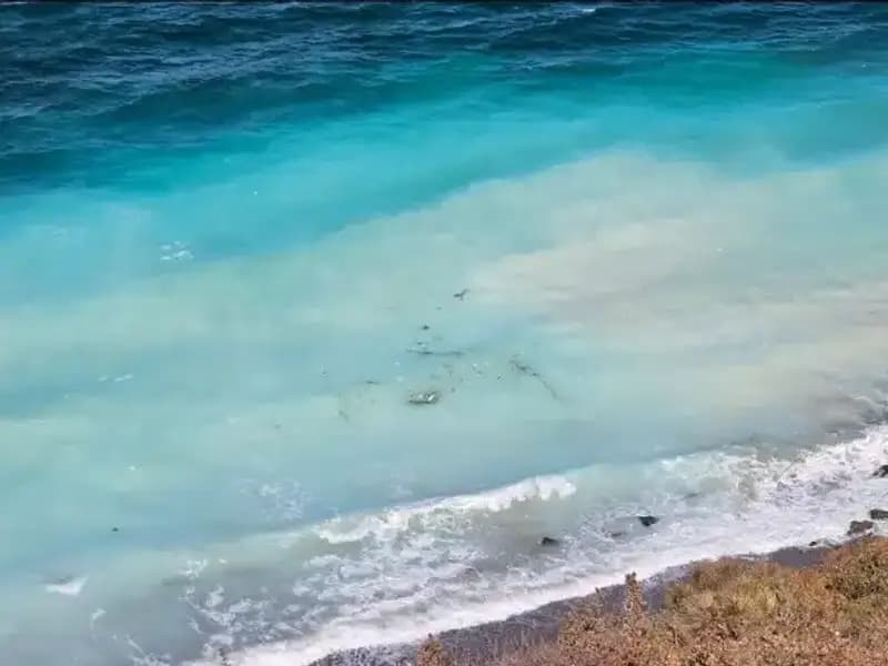 Beyaz Tehlike: Kıyılarımızı Saran Şlam Atığı Nedir?