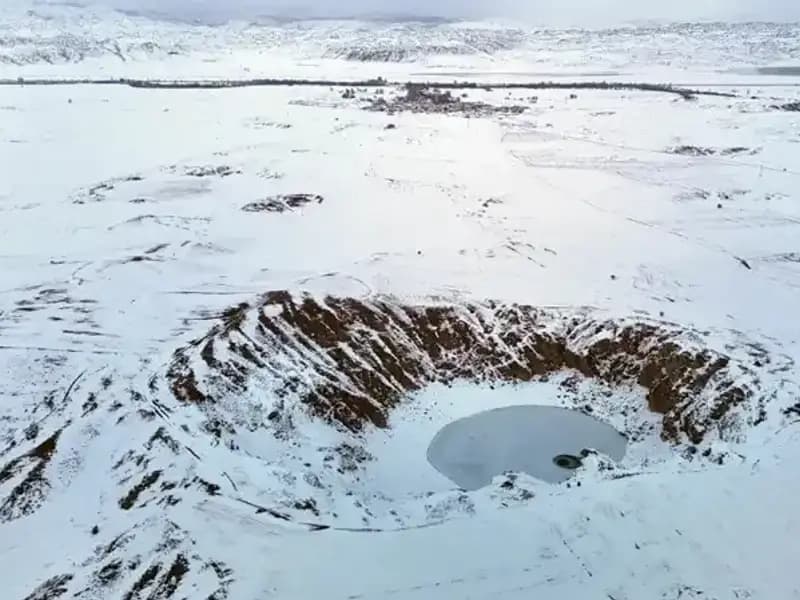 Dondurucu Soğuklar Renk Değiştiren Güneş Çiçeğini Etkiledi