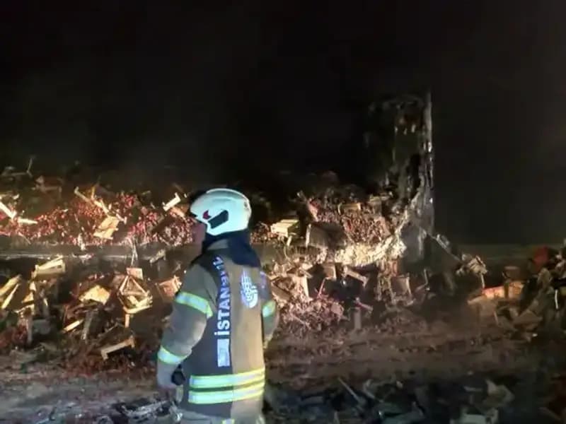 Çilek Yüklü TIR'da Neler Oldu? 6 Ton Meyve Kül Oldu!