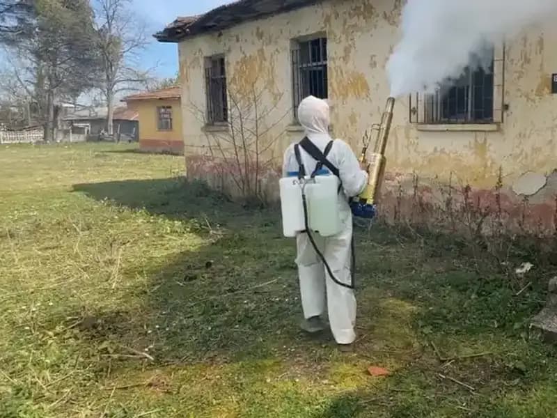 Çiftçilerin Kahverengi Kokarca Seferberliği: Tarımda Yeni Bir Tehdit Mi Geliyor?