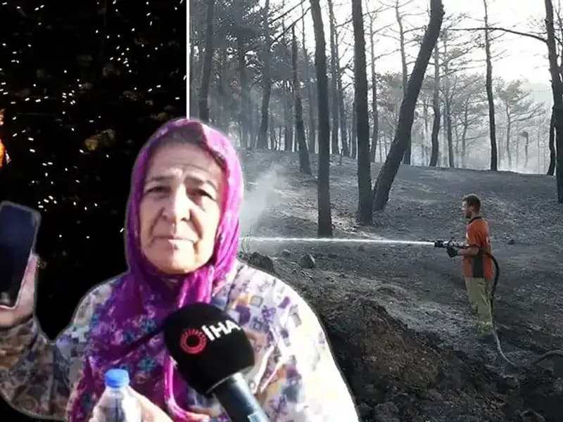 Çanakkale'deki Orman Yangınları Kontrol Altına Alındı: Hayatta Kalanlar...