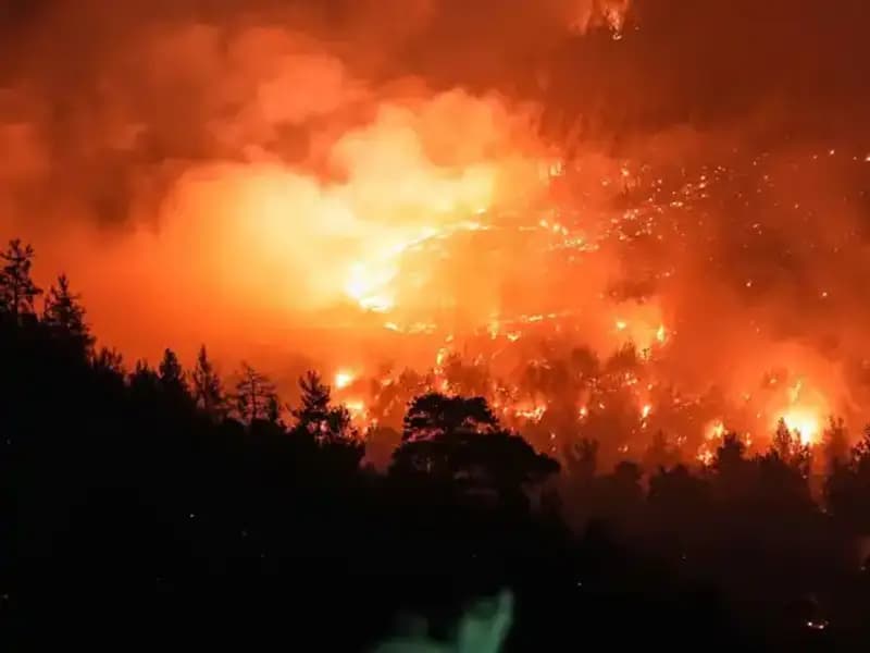 Bursa-Balıkesir Sınırında Orman Yangını Kontrol Altında, Tekrar Ortaya Çıkabilir