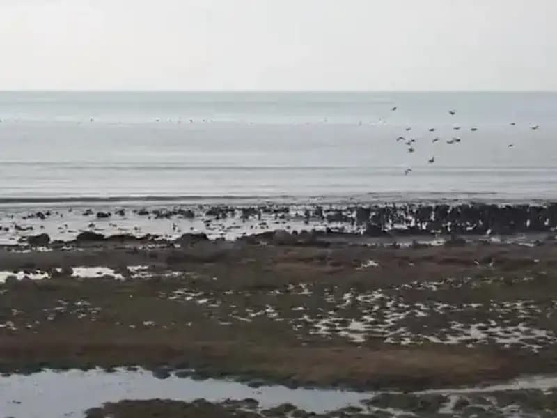 Türkiye’nin En Büyük Gölü: Tehlike Altında ve Ciddi Su Kaybı Yaşanıyor