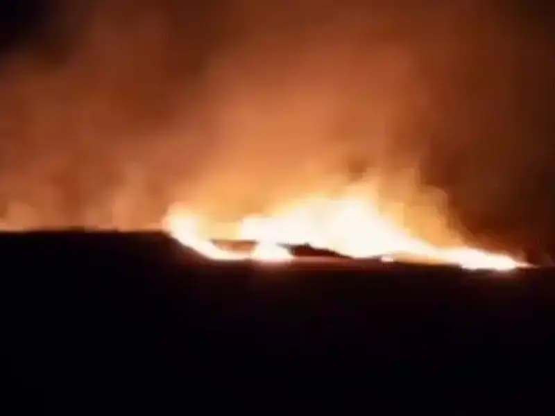 20 Dönüm Tarım Arazisinde Yangın: Sebepler ve Sonuçlar İçiçe Yaşandı