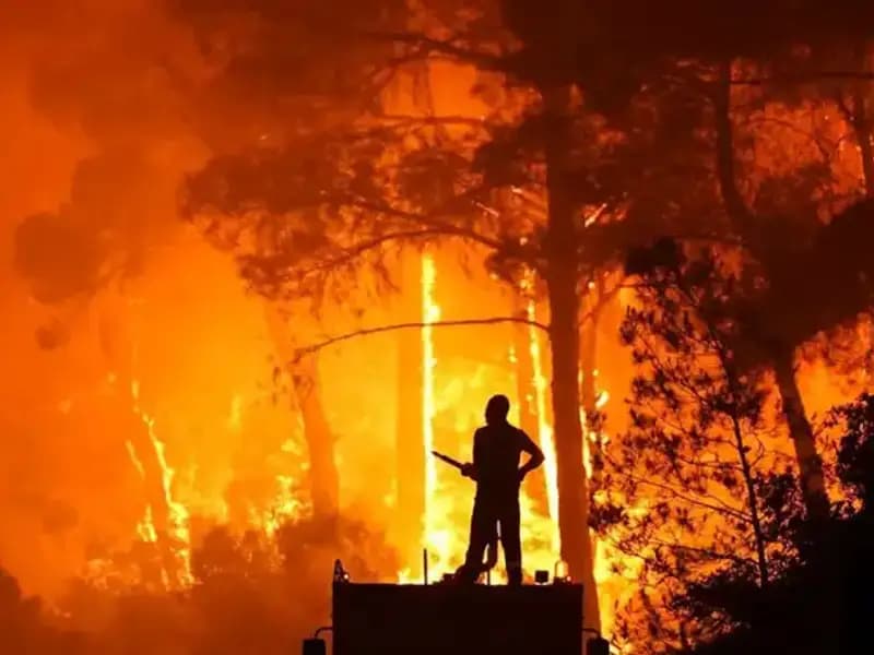 İzmir ve Bursa'daki Yangınlarda Yol Alan Tutuklamalar: İki Şüpheli Hakkında Gelişmeler