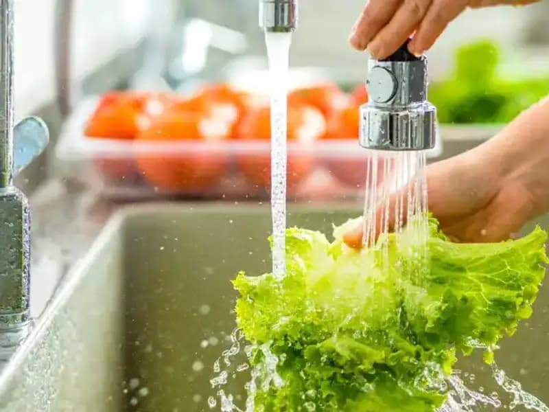 Sebzelerde Saklı Tehlikeleri Gün Yüzüne Çıkaran Bilimsel Araştırma