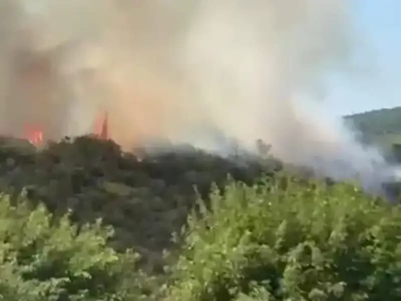 İstanbul Orman Yangınında Panik: Vatandaşlar Hızla Tahliye Edildi