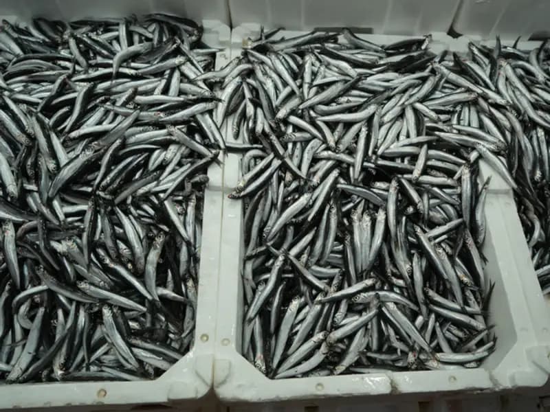 Türkiye İhracatında Zirve: Belçika, Fransa ve Almanya'ya Yüksek Talep!