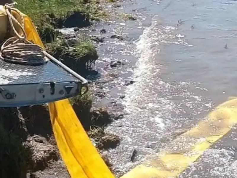 Türkiye’nin Göletlerine Yavru Balıklar Bırakıldı: Ekosisteme Büyük Katkı