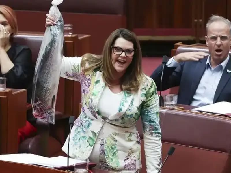 Parlamentoda Çürük Balık Krizi: Senatörler Protestoda Neden Bayıldı?