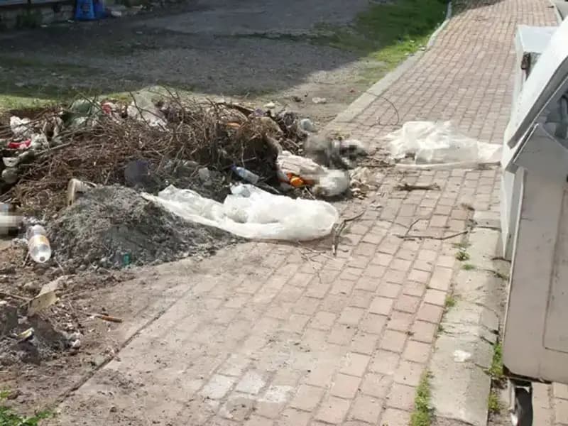 Antalya'da Gizemli Kedi Ölümleri: 10 Kedi Bulundu, İnceleme Başlatıldı