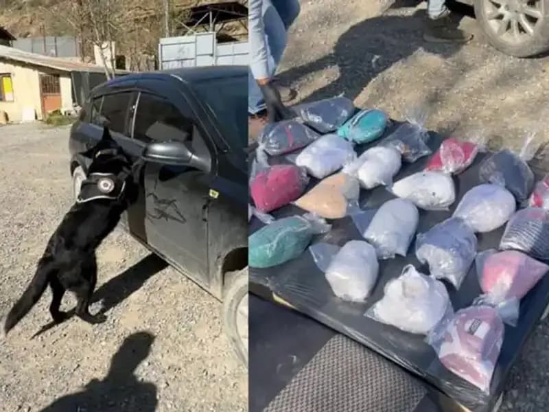 Şüpheli Araçta Uyuşturucu İhtimali: Polis Operasyonla Yakaladı