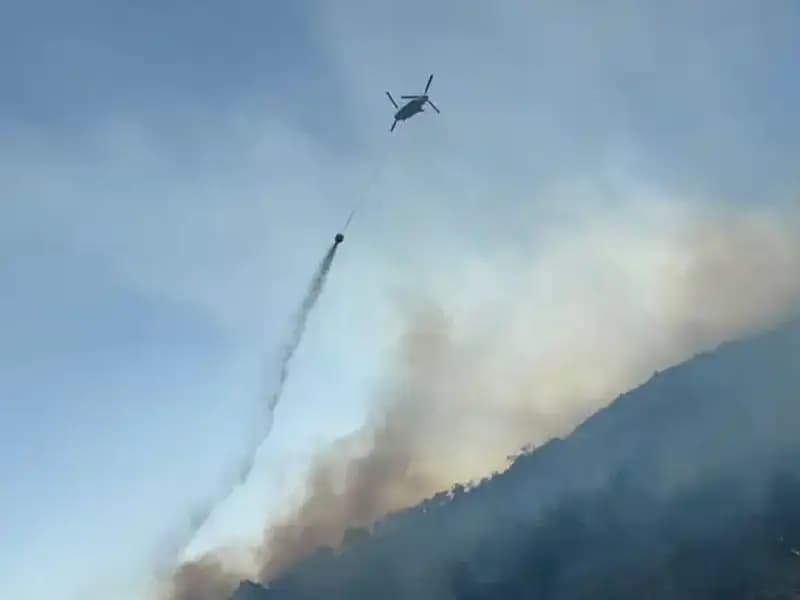 Söke'deki Orman Yangını Kontrol Altına Alındı: Ekipler İle Hayat Kurtarılıyor