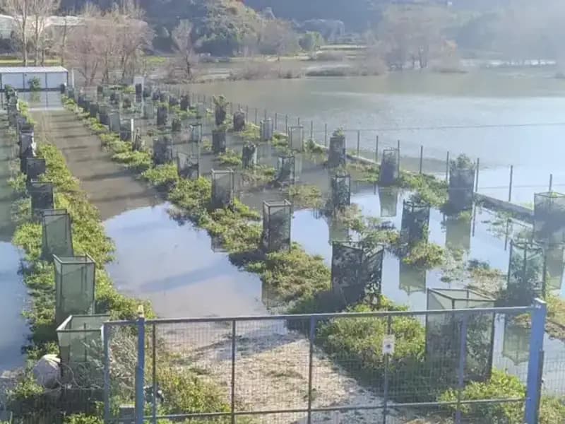 Irmak Taştı: Otoyol Şantiyesinde Sular Altında Kalan Alanlar