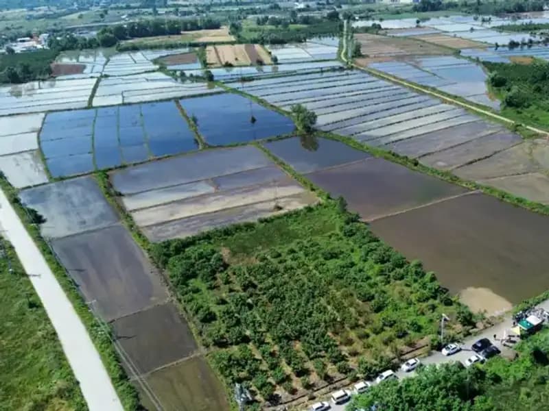 Osmanlı Saray Mutfağının Gizemi: Toprak ve Lezzet Bir Araya Geldi