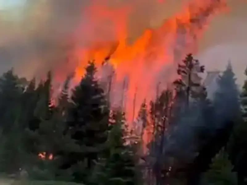 Çankırı'da Orman Yangınları: Ekipler Günlerdir Mücadele Ediyor