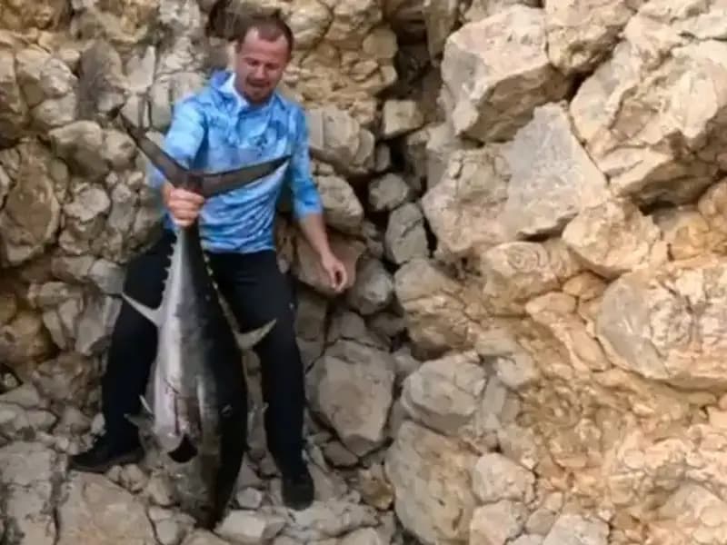 Saros’ta 30 Kilo Ağırlığında Balık Tutuldu, Pes Etmeyen Balıkçıların Mücadelesi!