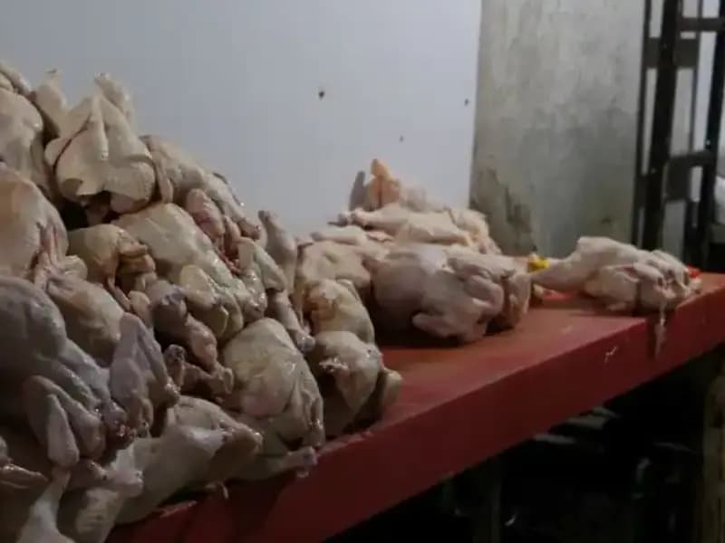 Döner İmalathanesinde Şok Edici Görüntüler: Temizlik ve Hijyen Krizi!