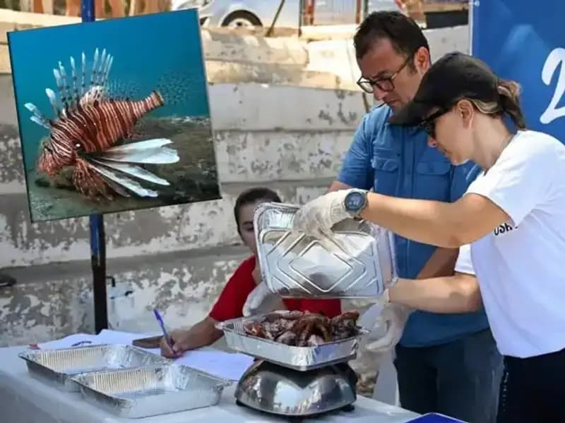 Antalya'da İstilacı Aslan Balığı Avlama Yarışması: Doğa İçin Bir Adım Daha