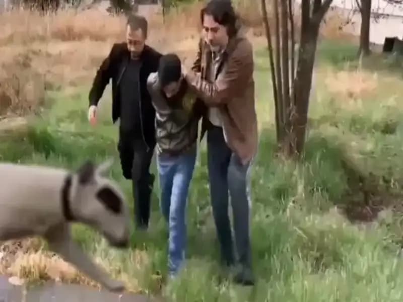 430 Bin Lira Değerindeki Şampiyon Köpek Hırsızı Yakaladı!