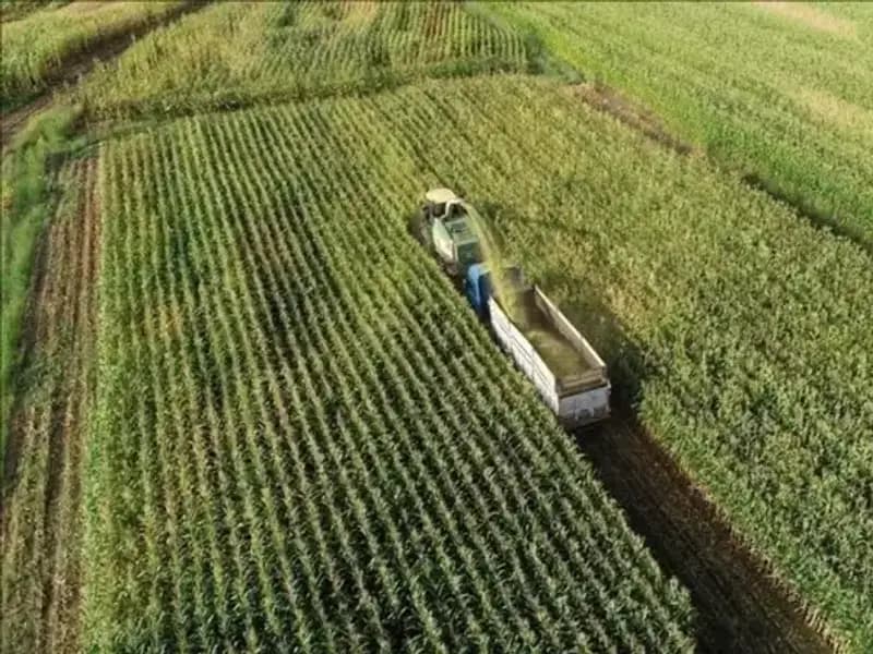 2025 Mazot ve Gübre Desteği Ödemeleri: Son Durum ve Beklentiler