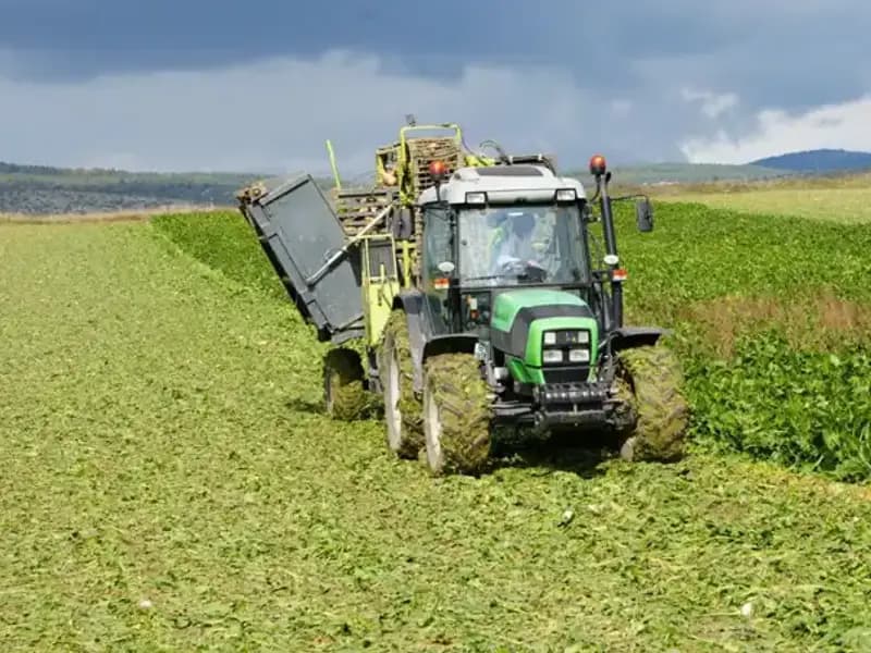 Kastamonu’da Pancar Hasadı Hız Kesmeden Devam Ediyor