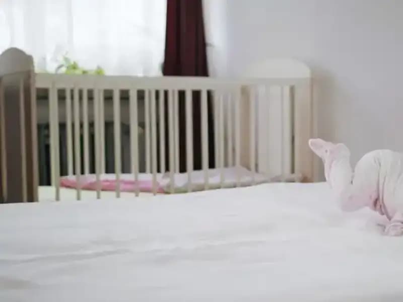 Bebek Yataklarındaki Gizli Tehlike: Zehirli Malzemeler Üzerine Korkutan Araştırma