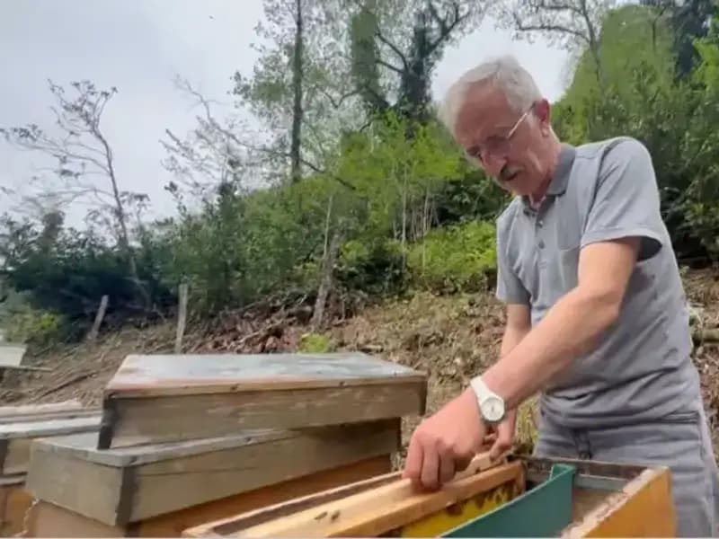 Doğal Antibiyotik Olarak Tüketilen "Komar"ın Faydaları ve Dikkat Edilmesi Gerekenler