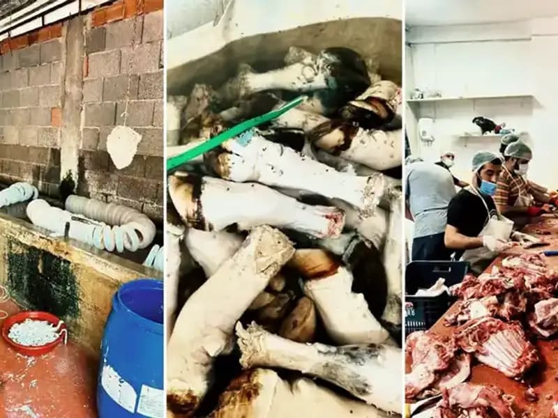 Adana'da Şok Eden Manzara: Yüzlerce Kilo Paça Ortaya Çıktı