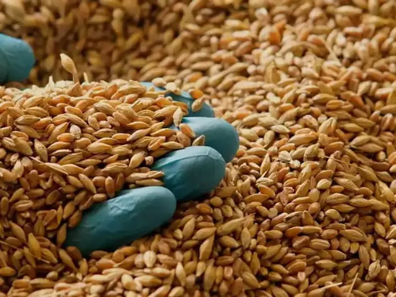 Kalp Hastalığı Riskini Azaltmanın Yolu: Uzmanlardan Öneriler