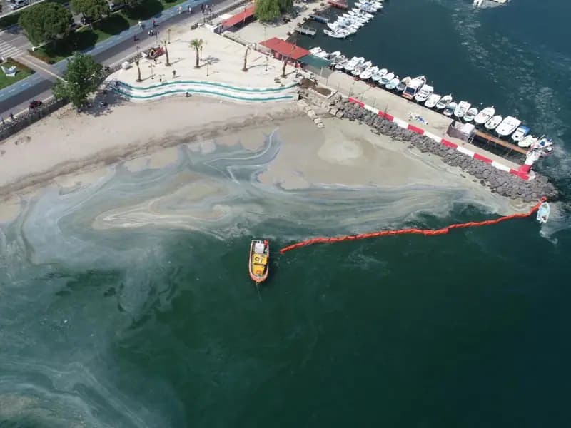 Müsilaj Bilim Kurulu Toplanacak