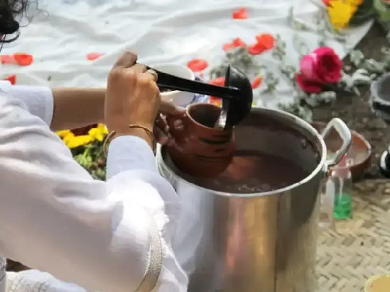 Ayahuasca: Yasak mı, Yoksa Alternatif Bir Şifa Yolu mu?