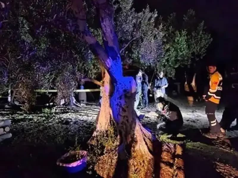 Çiftlikteki Baltalı Vahşete Şok Tutuklama: Olayın Perde Arkası