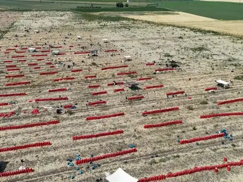 Tarlada Fıstık Fiyatları Düşerken, 40 Derecede Zorlu Mesai Başlıyor!