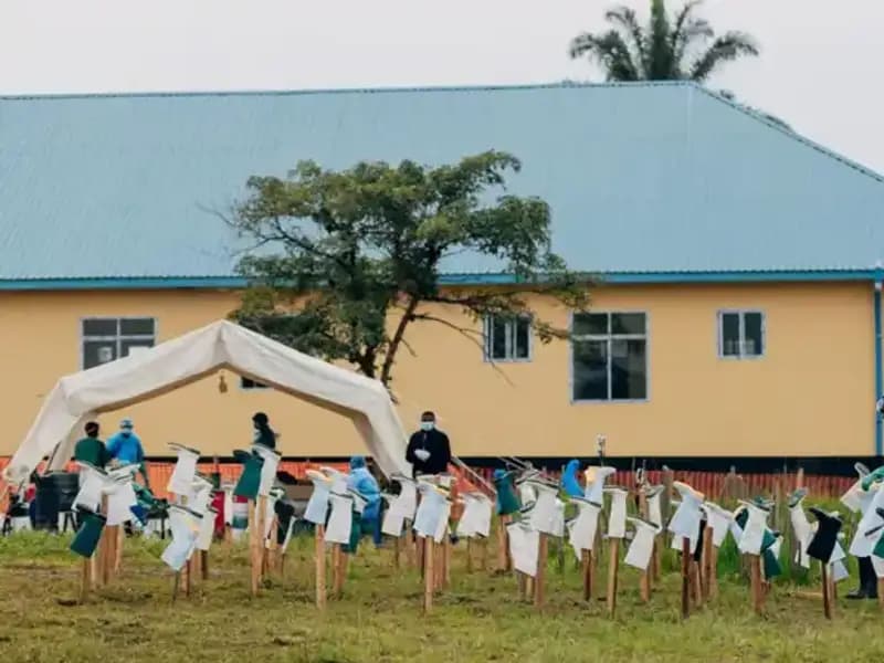 DSÖ'den Tüm Dünyayı Rahatlatan Açıklama: Marburg Virüsü Salgını Sona Erdi!
