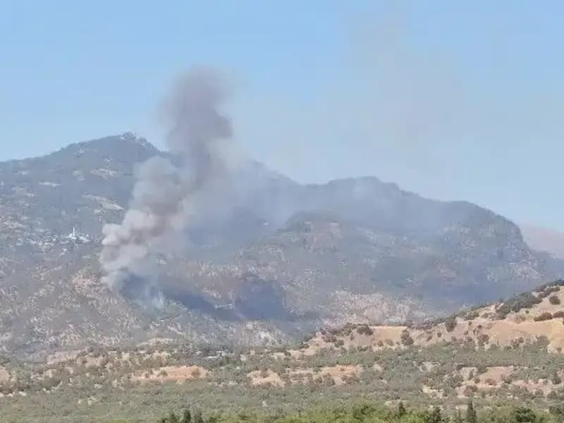 Aydın'da Zeytinlik Yangını: Ulaşılması Güç Olan Alanlara Müdahale Ediliyor