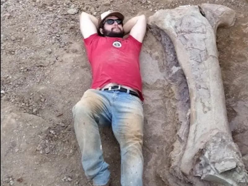 Brezilya'da Yeni Dev Dinozor Türü Keşfedildi: Dasosaurus tocantinensis