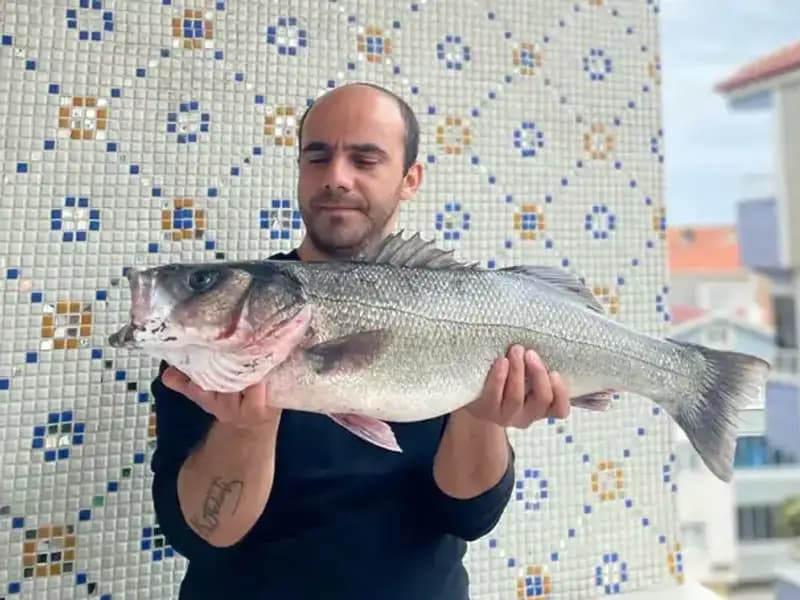 7,5 Kiloluk Dev Levrek, Balıkçıların Gözdesi Olmayı Başardı!