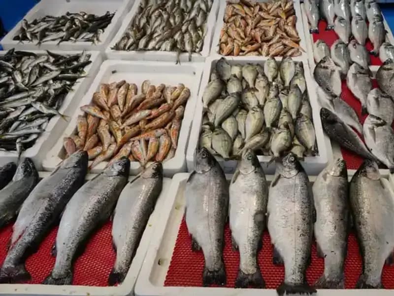 Yasak Geldi, Tezgâhlar Genç Girişimcilere Emek Veriyor