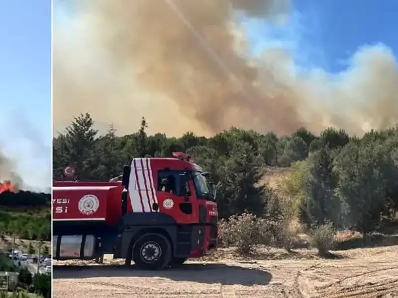Gebze'de Meydana Gelen Orman Yangını: Sebepler ve Mücadele Süreci